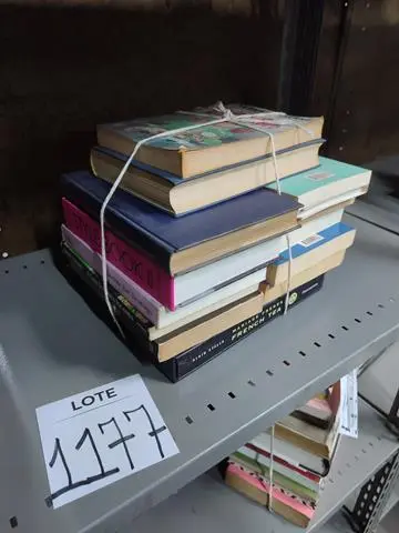 LEILÃO DOS BENS DE APARTAMENTO DECORADO DEPÓSITO TEGRA REF 165