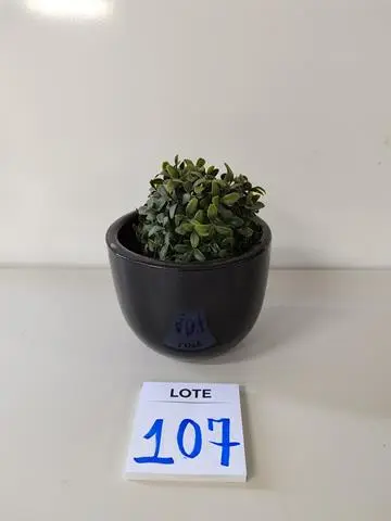 LEILÃO DOS BENS DE APARTAMENTO DECORADO DEPÓSITO TEGRA REF 165
