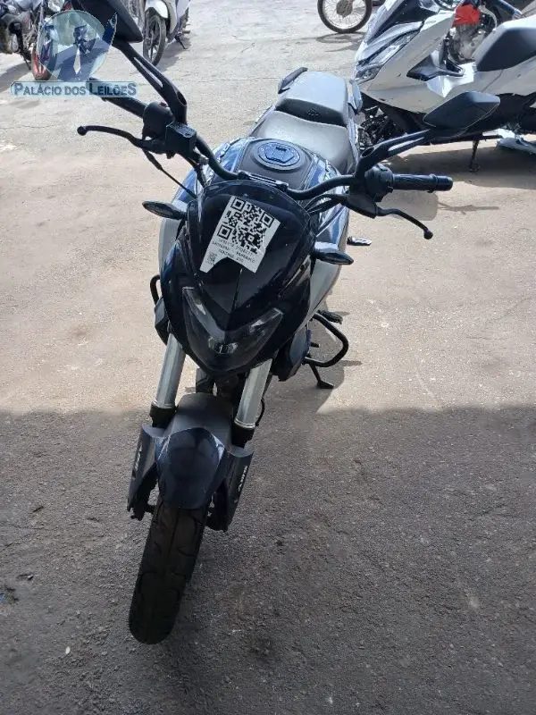 BAJAJ/DOMINAR D250