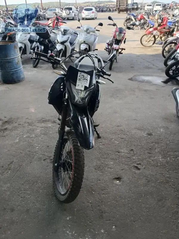 SHINERAY SHI 175