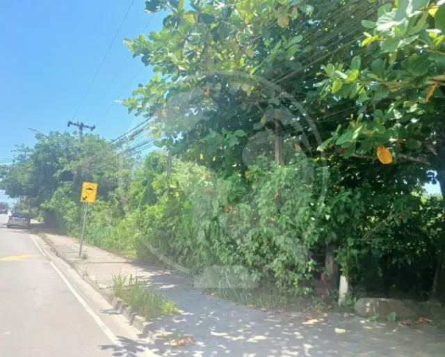 Terreno / Lote - 11.932m²