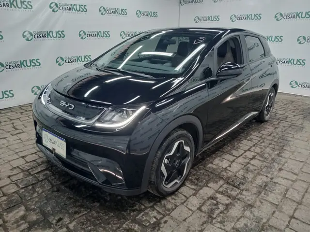 IMP BYD/DOLPHIN GS 180 EV