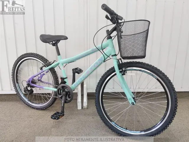 LOTE COM 01 BICICLETA HOUSTON WINDY VERDE