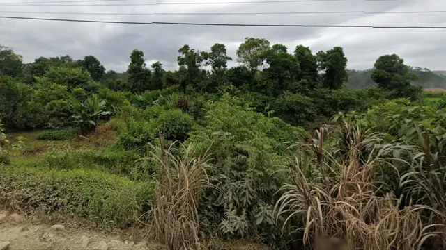 .'. Terreno Rural com Área de 250.000m2 - Mirim Doce/SC.'.