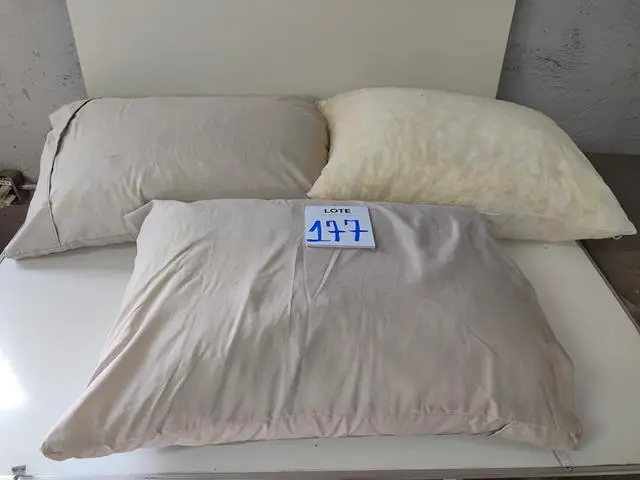 LEILÃO DOS BENS DE APARTAMENTO DECORADO DEPÓSITO TEGRA REF 165