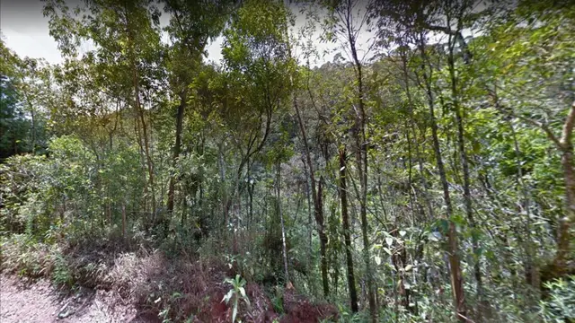 Área de terras, Nova Friburgo/RJ