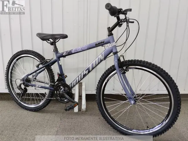 LOTE COM 01 BICICLETA HOUSTON WIN AZUL