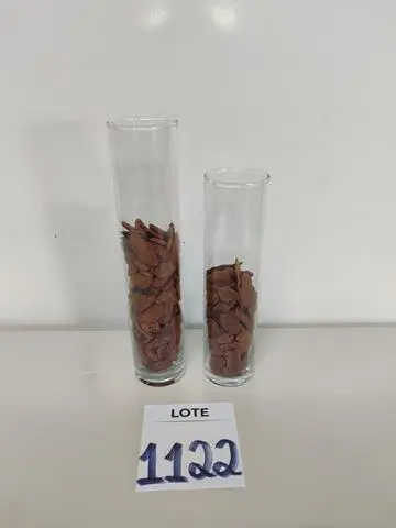 LEILÃO DOS BENS DE APARTAMENTO DECORADO DEPÓSITO TEGRA REF 165