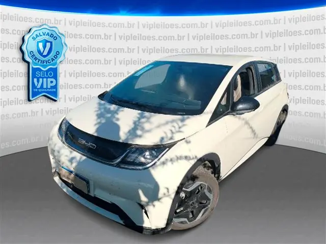BYD - DOLPHIN GS 180EV
