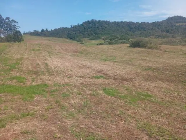 Área de 100.000,00m² em Linha Pedras Brancas Baixa