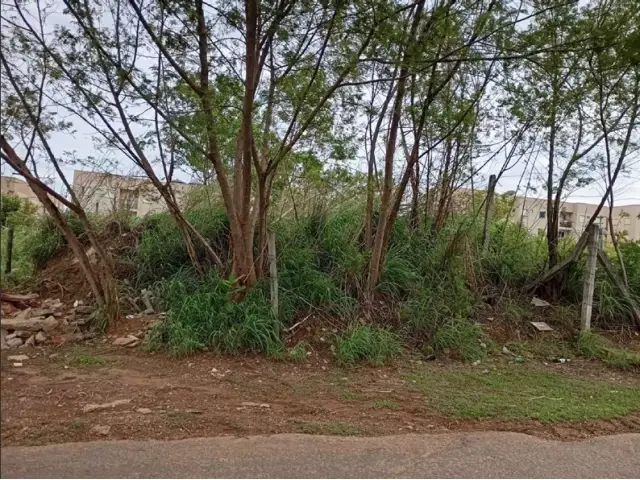 Terreno c/ 250m² - Cuiabá/MT
