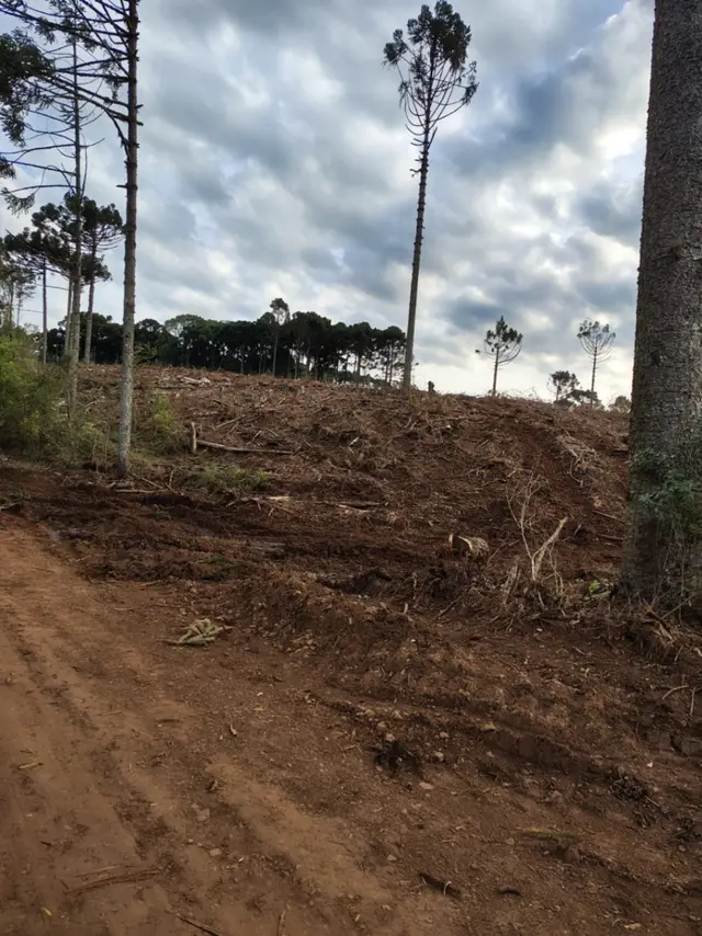 ÁREA RURAL COM A SUPERFÍCIE DE 12 HECTARES “SÍTIO DO HERVAL”