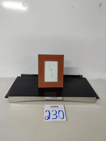 LEILÃO DOS BENS DE APARTAMENTO DECORADO DEPÓSITO TEGRA REF 165