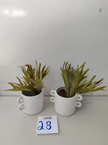 LEILÃO DOS BENS DE APARTAMENTO DECORADO DEPÓSITO TEGRA REF 165