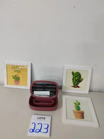 LEILÃO DOS BENS DE APARTAMENTO DECORADO DEPÓSITO TEGRA REF 165