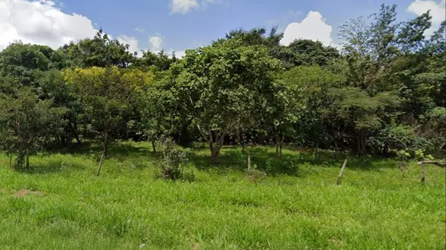 Imóvel Rural de Área 133,4239ha, Uberlandia/MG