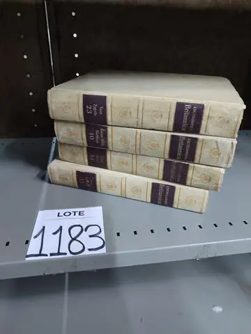 LEILÃO DOS BENS DE APARTAMENTO DECORADO DEPÓSITO TEGRA REF 165