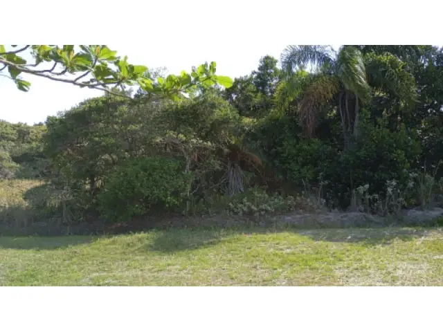 Terreno c/ 250m² - Ilha Comprida/SP