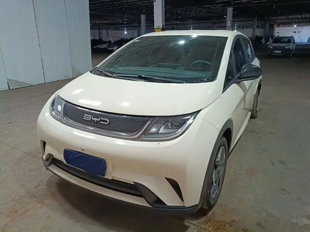 BYD - DOLPHIN GS 180EV