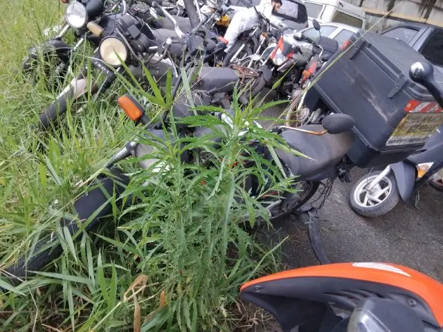 HONDA/CG 125 FAN KS, 10/11
