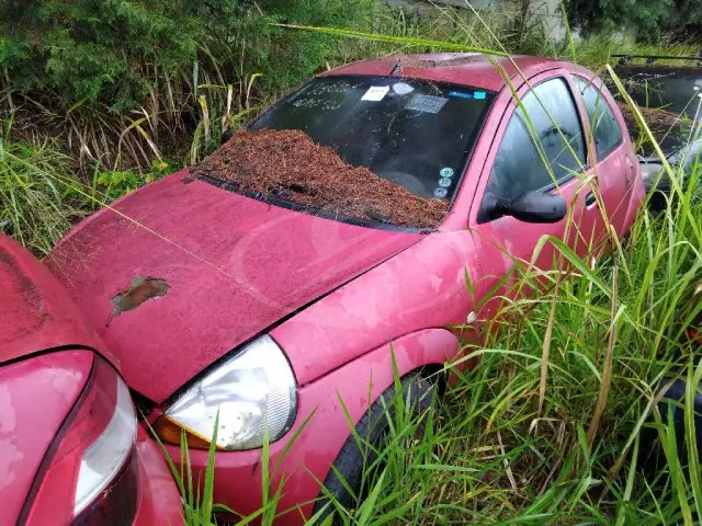 FORD/KA GL, 03/04