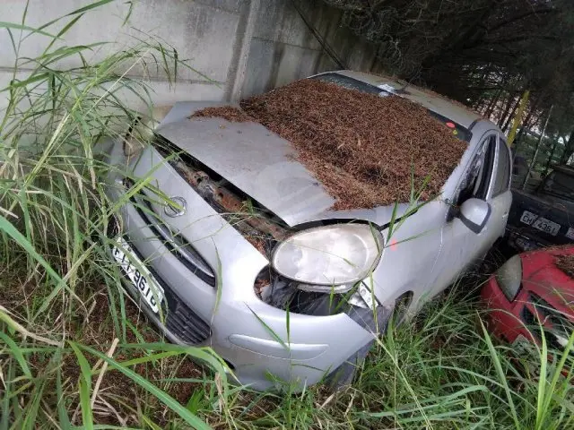 I/NISSAN MARCH 10S FLEX, 12/13