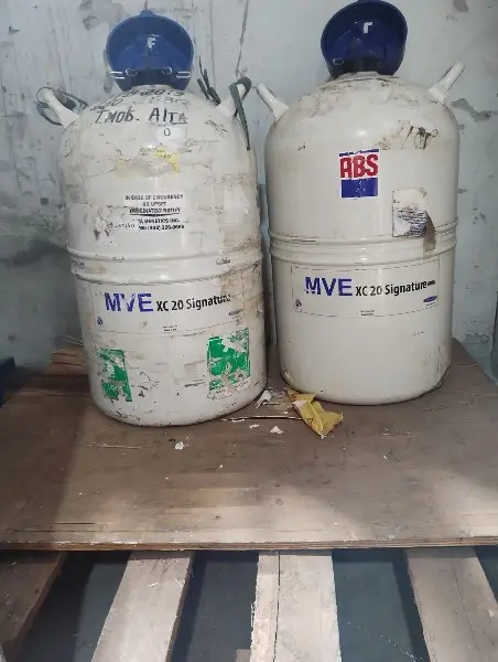 Lote com: 02 tanques de nitrogênio líquido