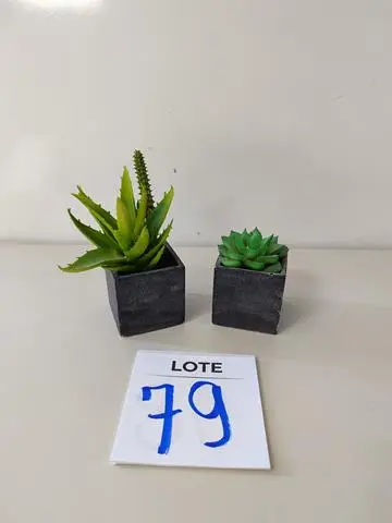 LEILÃO DOS BENS DE APARTAMENTO DECORADO DEPÓSITO TEGRA REF 165