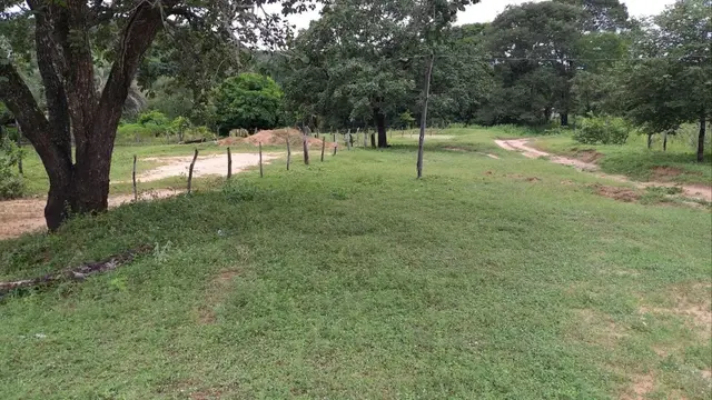 .'. Fazenda com Área de 420ha, Januaria/MG