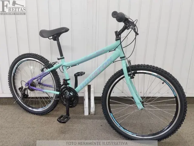 LOTE COM 01 BICICLETA HOUSTON WINDY VERDE