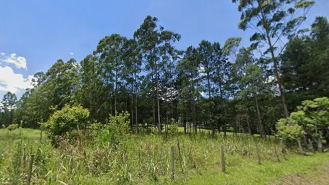 .'.Terreno Rural de Área 50.560 m², Rio do Campo/SC.'.