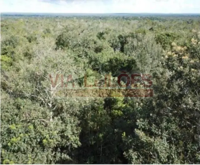 UM LOTE DE TERRAS COM A AREA DE 231,9012 HAS - DENOMINADO FAZENDA EMILIA