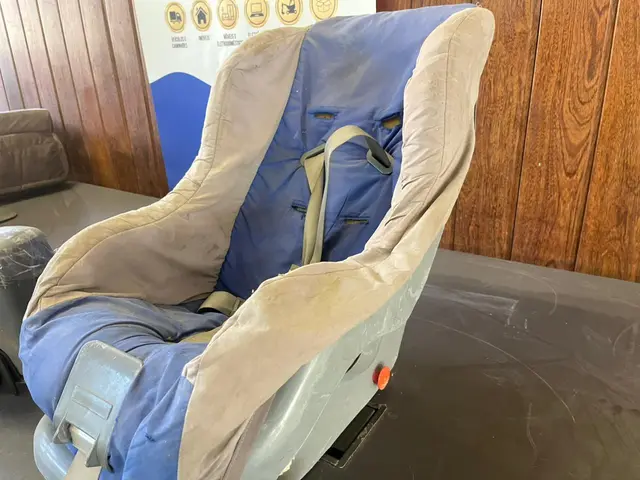 MOTOR DE PORTÃO ROSSI DZ NANO 220V COM CONTROLE REMOTO - CADEIRA DE BEBÊ PARA CARRO