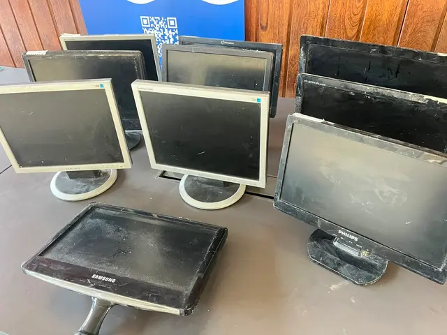 10 UN- MONITORES