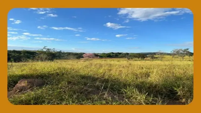 IMÓVEL RURAL DENOMINADO FAZENDA MARACATI, TAMBÉM CONHECIDO POR FAZENDA FORTALEZA, EM VISEU/PA, MEDINDO UMA ÁREA DE APROXIMADAMENTE 4.137HA.__