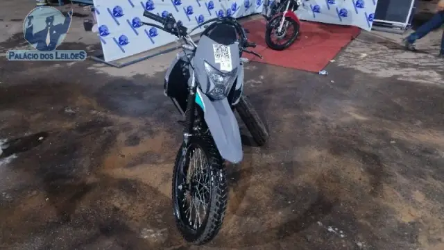 SHINERAY/SHI 175