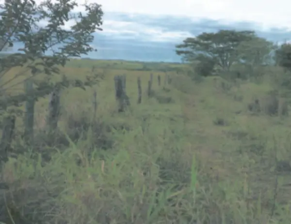 Sítio em Mirandópolis com 12,27,27 ha