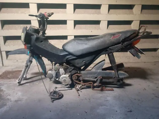 HONDA - POP100