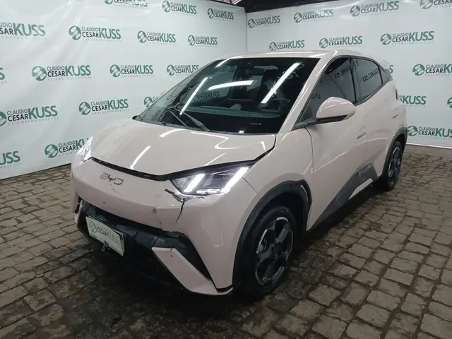 IMP BYD/DOLPHIN MINI GS5 EV