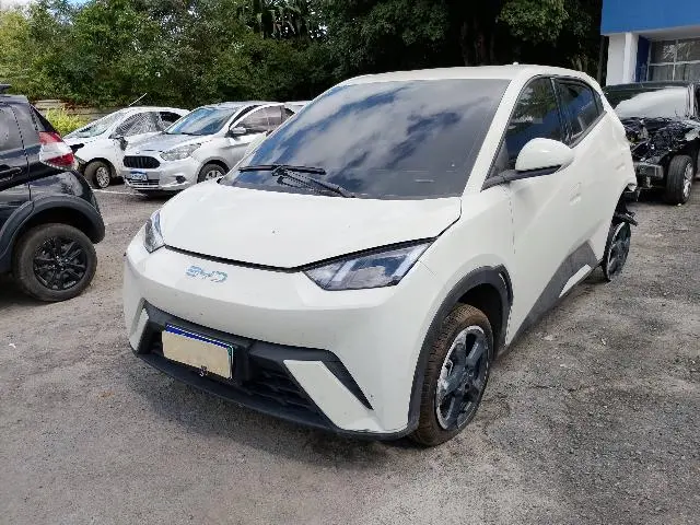BYD - DOLPHIN MINI GS EV