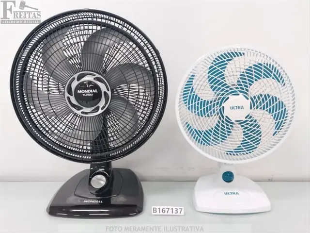 LOTE COM 02 VENTILADORES DE MESA 6 HÉLICES 127V 60HZ (1- MONDIAL VT-40-B 40CM 140W SEM PINO…