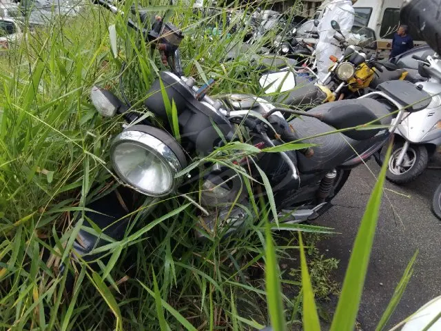 JTA/SUZUKI EN125 YES, 08/09