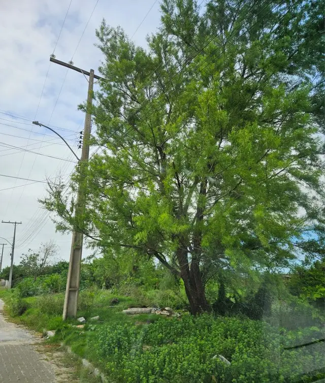 Terreno
