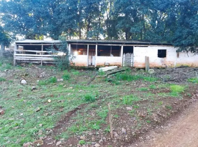 matrícula n° 100.055