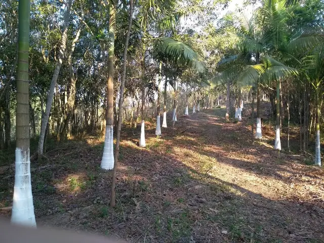 IMÓVEL RURAL AREA 285.000M² NA LOCALIDADE TRAVESSÃO NO MUNICÍPIO DE GRAVATAL/SC