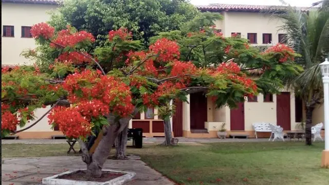 .'.Apartamento de 56,77m2, Cabo Frio/RJ.'.