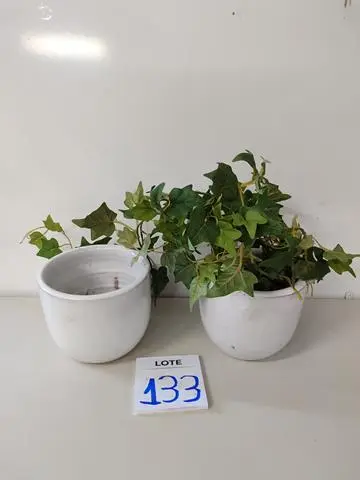 LEILÃO DOS BENS DE APARTAMENTO DECORADO DEPÓSITO TEGRA REF 165